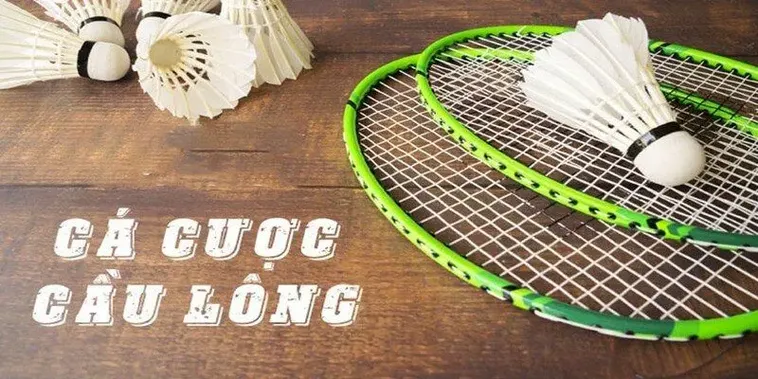 Cá Cược Cầu Lông Tại Win79 Để Trải Nghiệm Những Trận Đấu BWF Đầy Kịch Tính