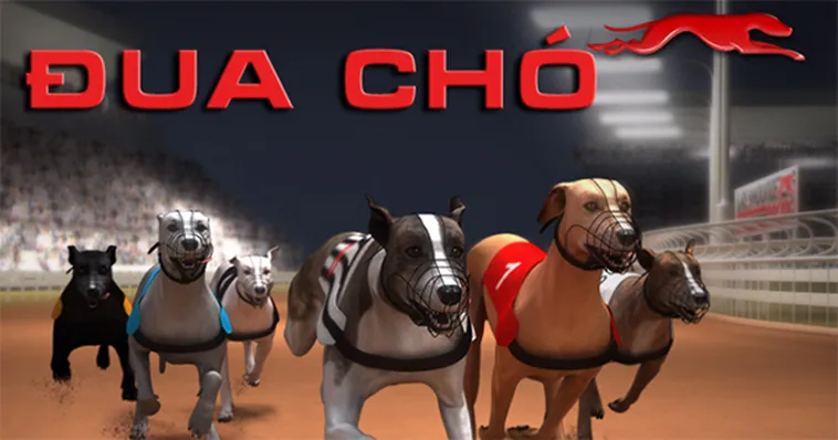 Tham Gia Game Nhanh Đua Chó Tại Win79 Để Nhận Thưởng Cực Khủng Mỗi Ngày