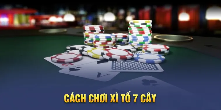 Chiến Thuật Chơi Xì Tố Tại Win79 Giúp Bạn Trở Thành Tỷ Phú Sòng Bài